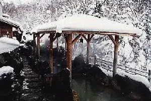 大雪山白金観光ホテル 美瑛町 旅館